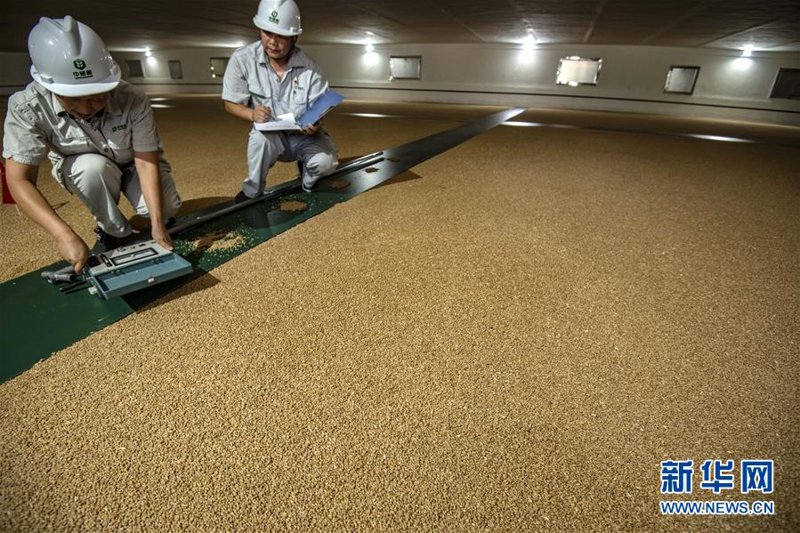 饲料粉碎机:现代养猪场不可或缺的好帮手